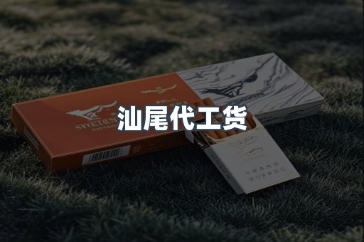 汕尾代工货